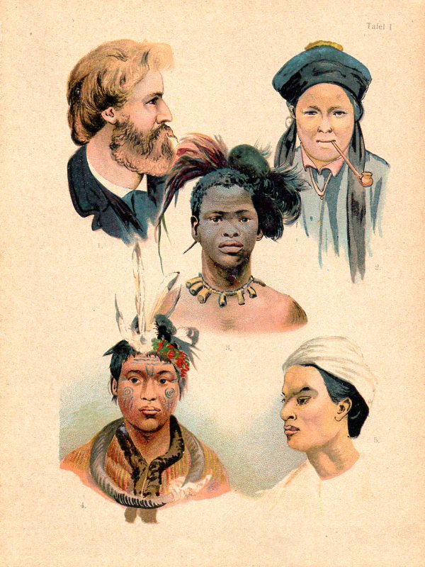 5 human races